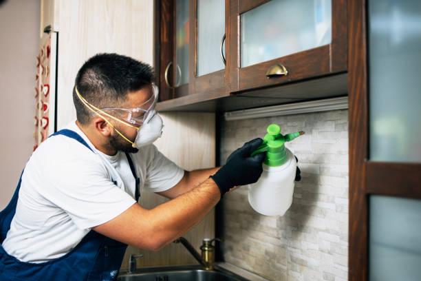 Best Pest Removal Services  in Wheatland, WY