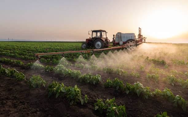 Best Mosquito Control Services  in Wheatland, WY