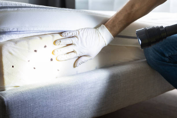 Best Pest Prevention Services  in Wheatland, WY