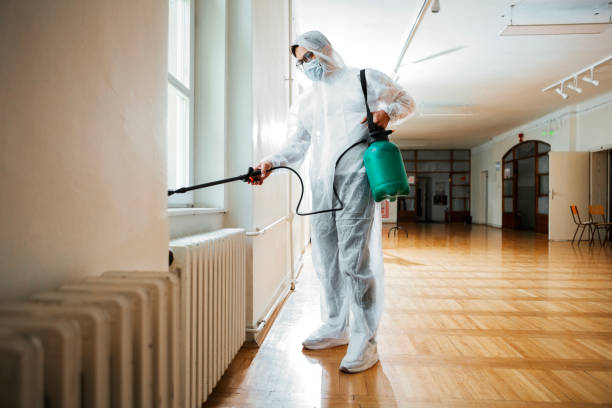 Best Flea Control Services  in Wheatland, WY