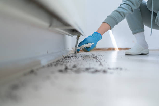 Best Affordable Pest Control Services  in Wheatland, WY