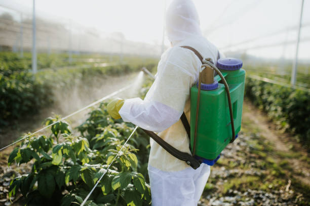 Best Rat Extermination Near Me  in Wheatland, WY